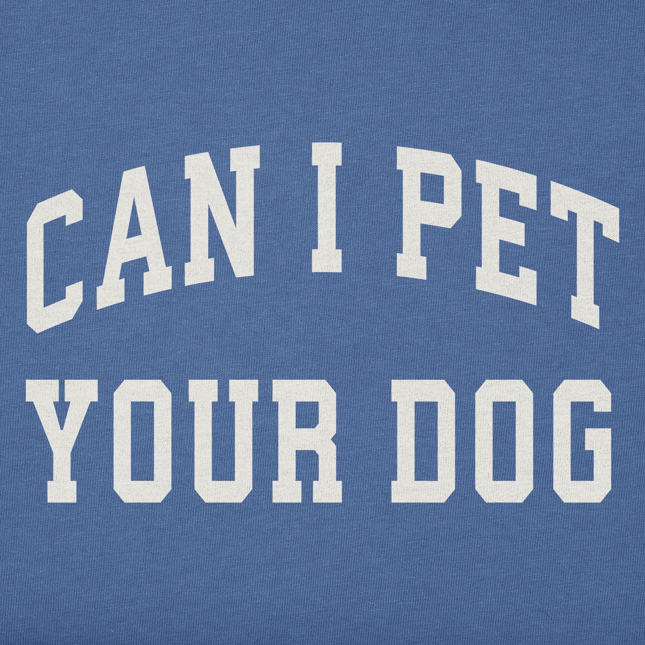 Kids Can I Pet Your Dog Arch Short Sleeve Crusher Tee