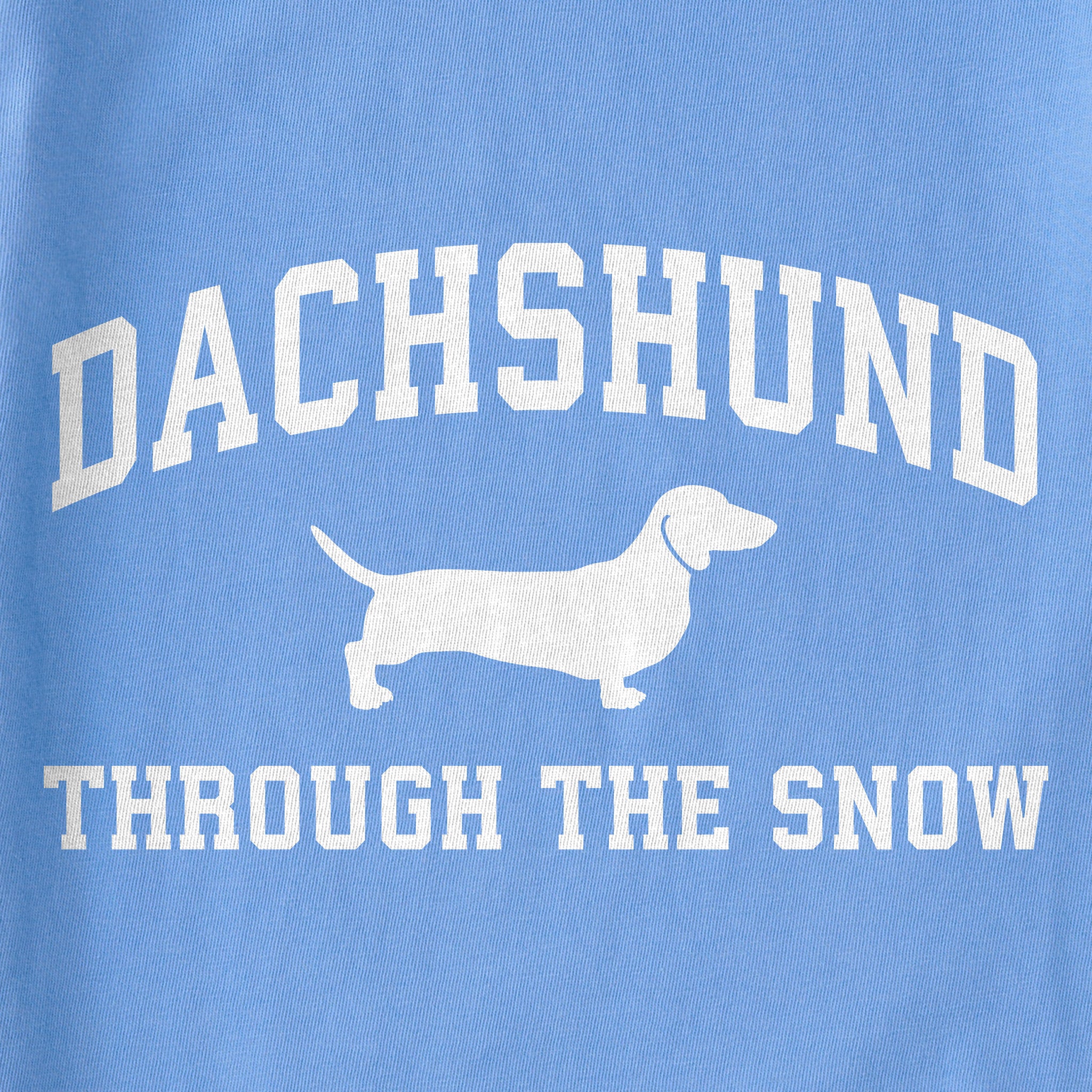 Women's Dachshunds Snow Arch Long Sleeve Crusher Boxy Tee
