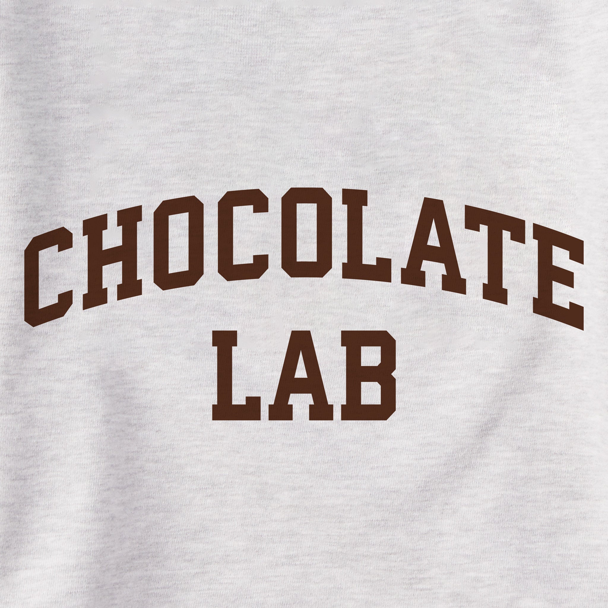 Women's Chocolate Lab Arch Simply True Fleece Crew