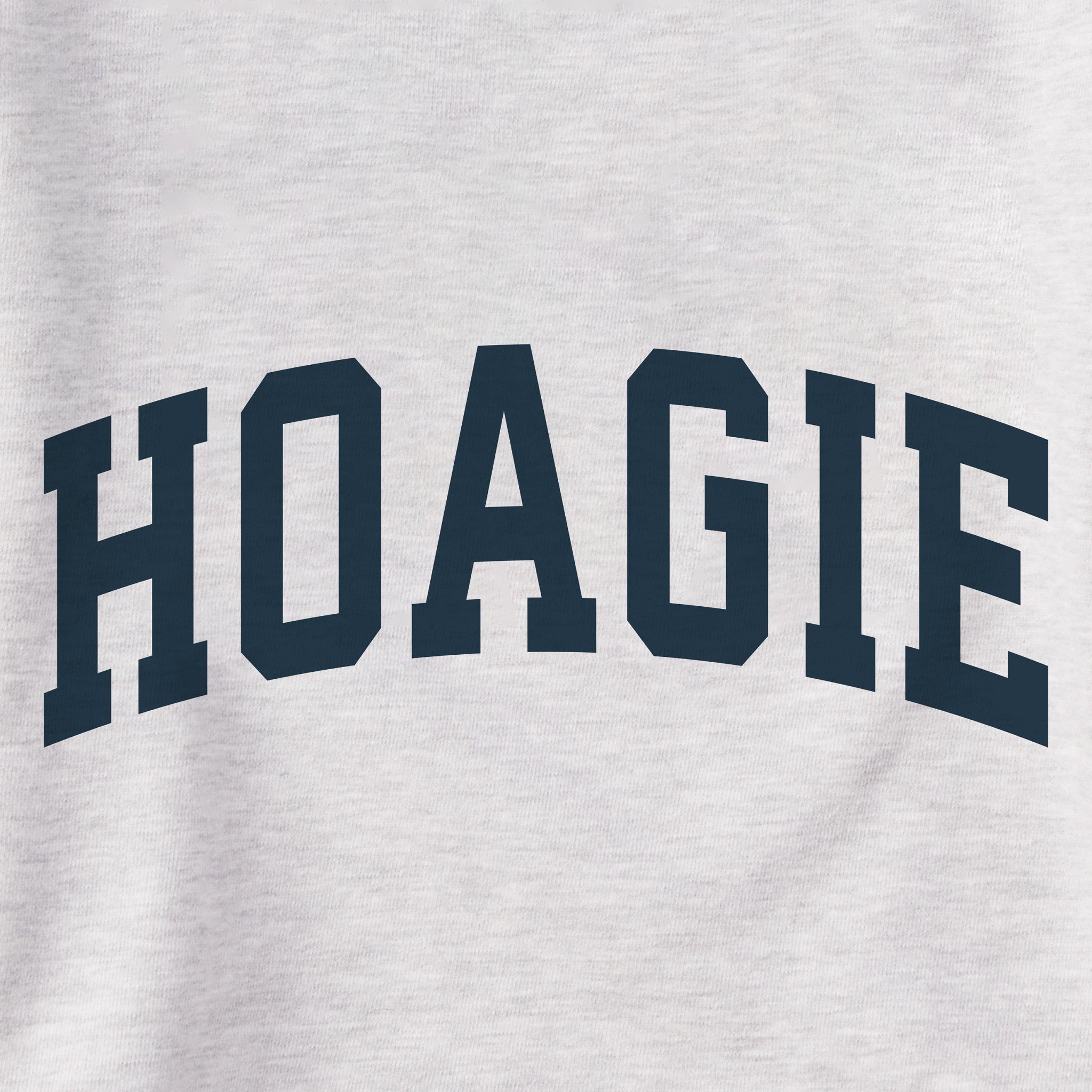 Men's Hoagie Arch Simply True Fleece Hoodie