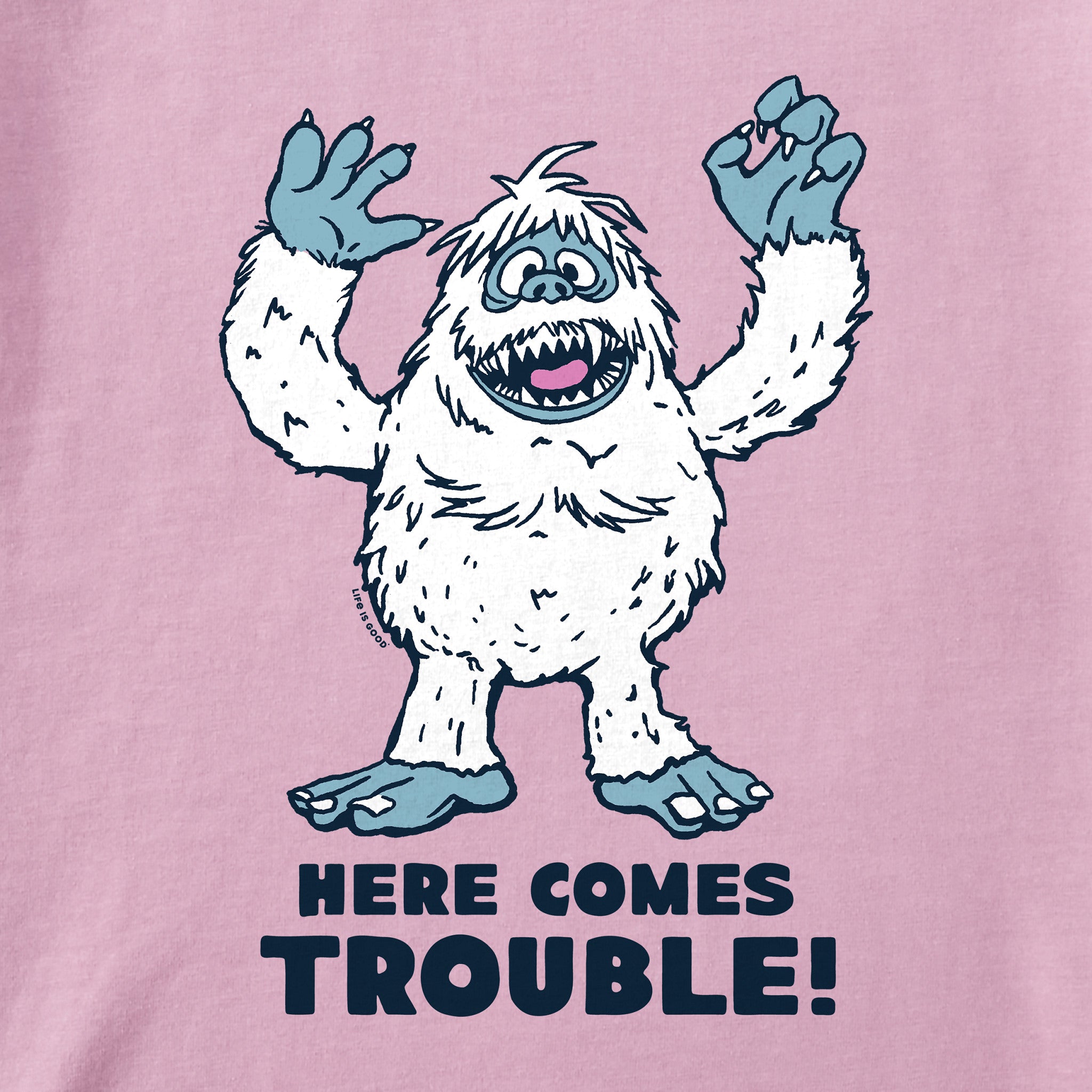 Kids Bumble Here Comes Trouble Long Sleeve Crusher Tee