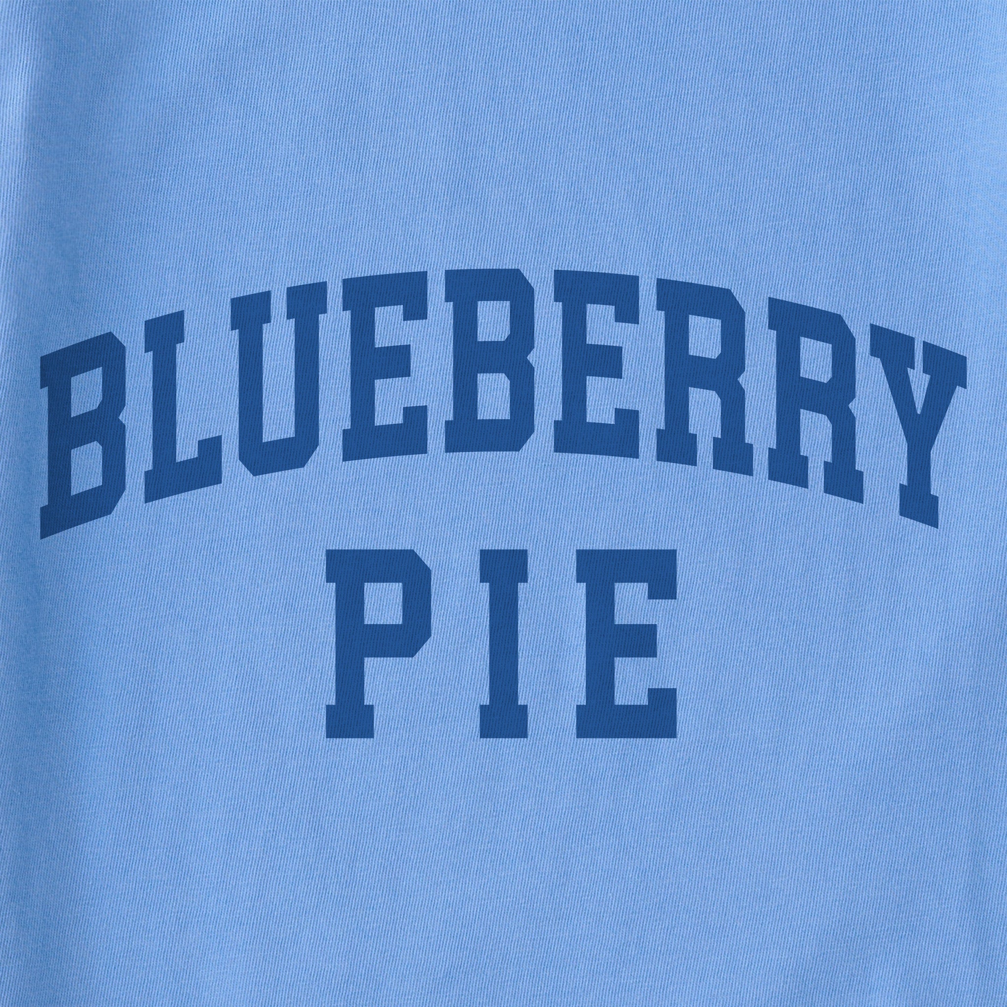 Kids Blueberry Pie Arch Short Sleeve Crusher Tee