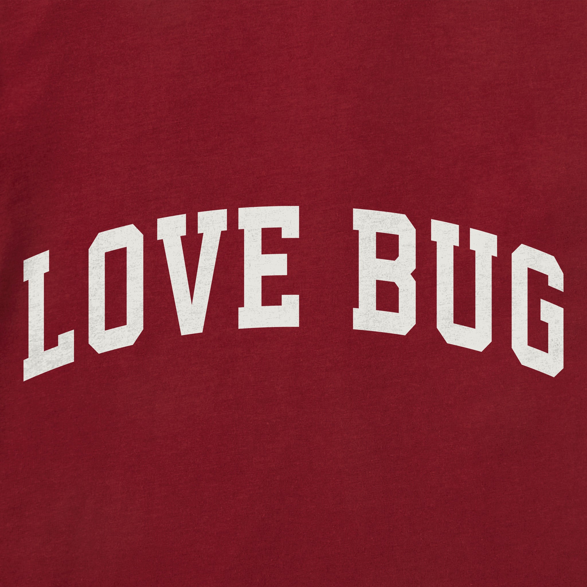Kids Love Bug Arch Long Sleeve Crusher Tee