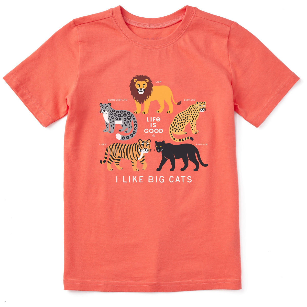 Kids I Like Big Cats Short Sleeve Crusher Tee