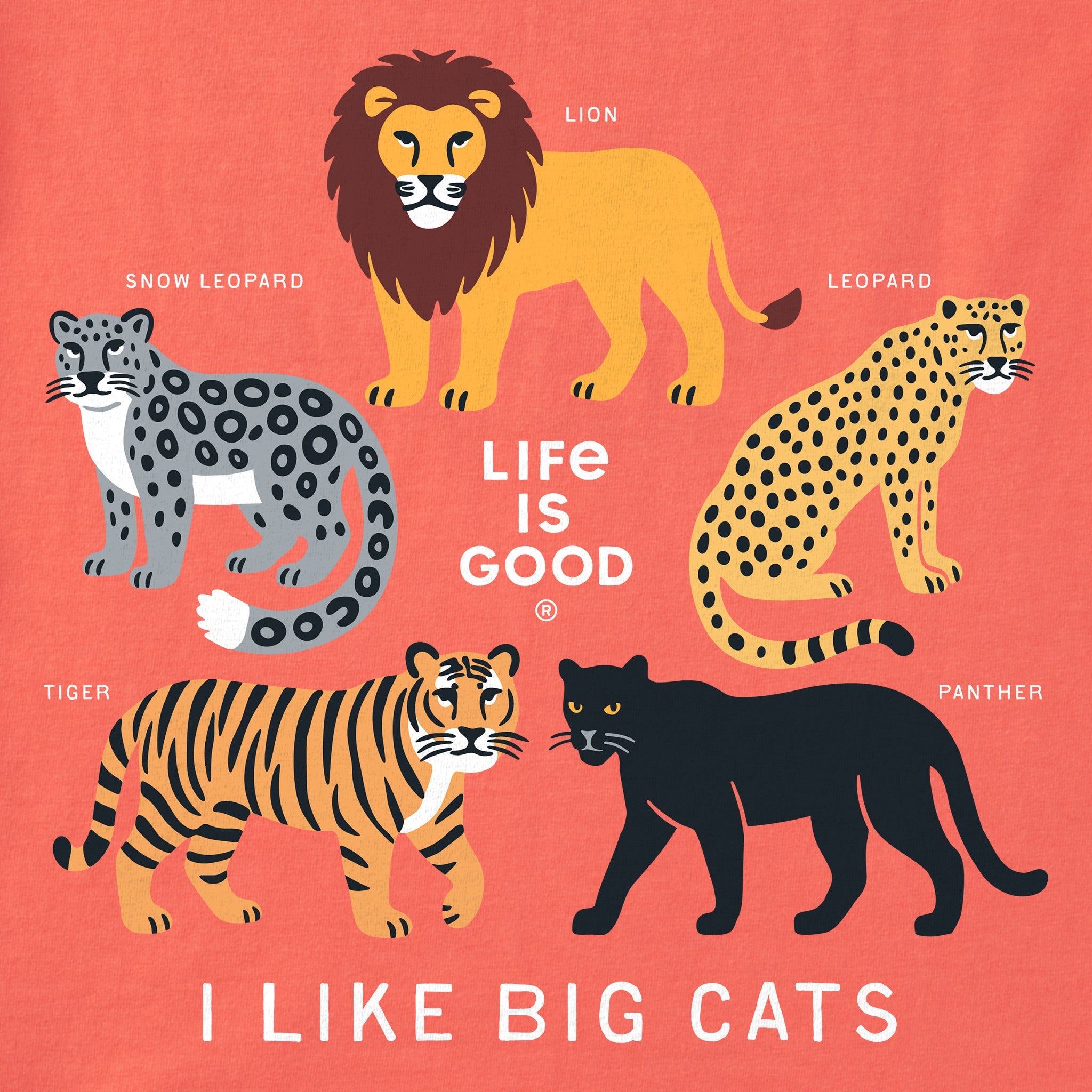 Kids I Like Big Cats Short Sleeve Crusher Tee