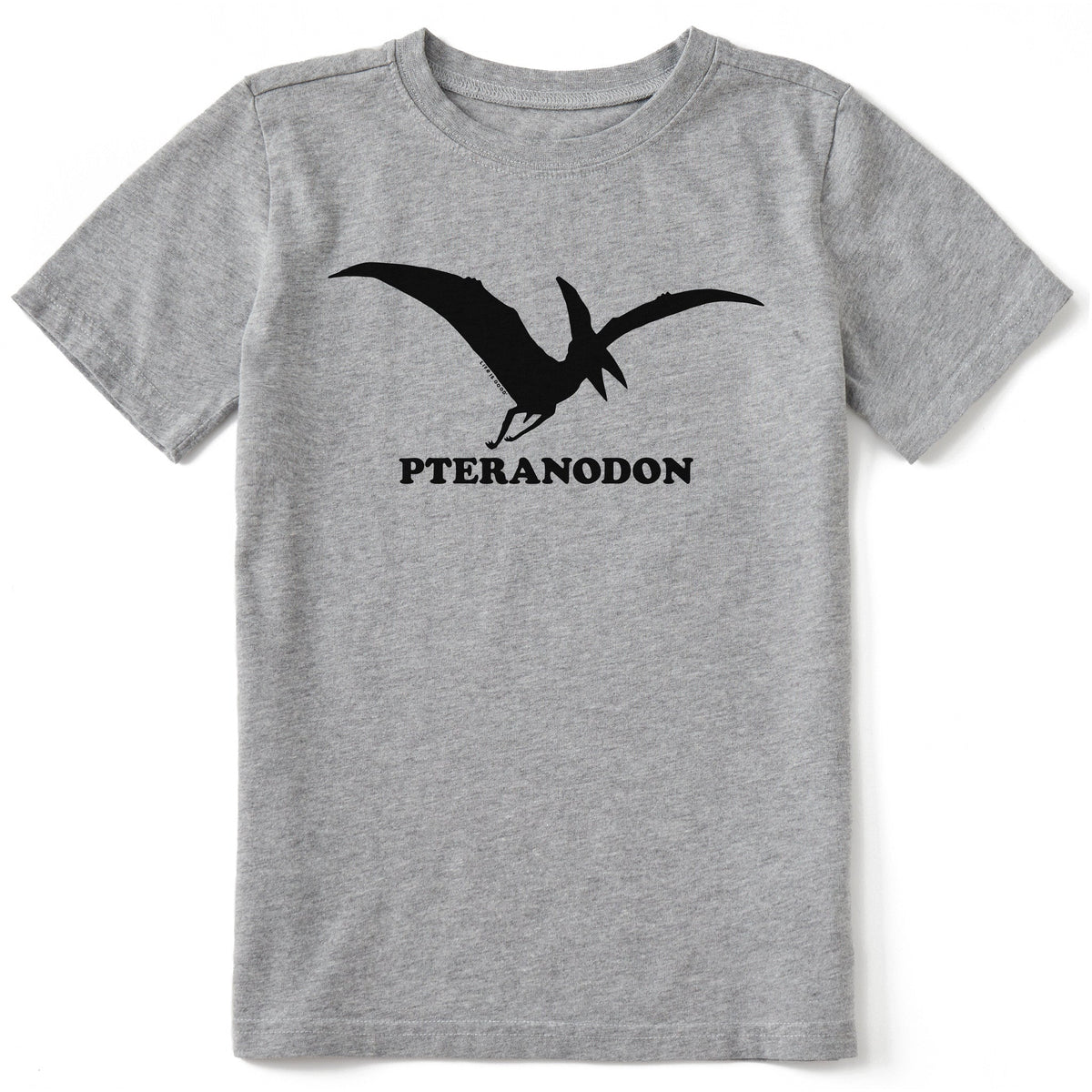 Kids Pteranodon Short Sleeve Crusher Tee