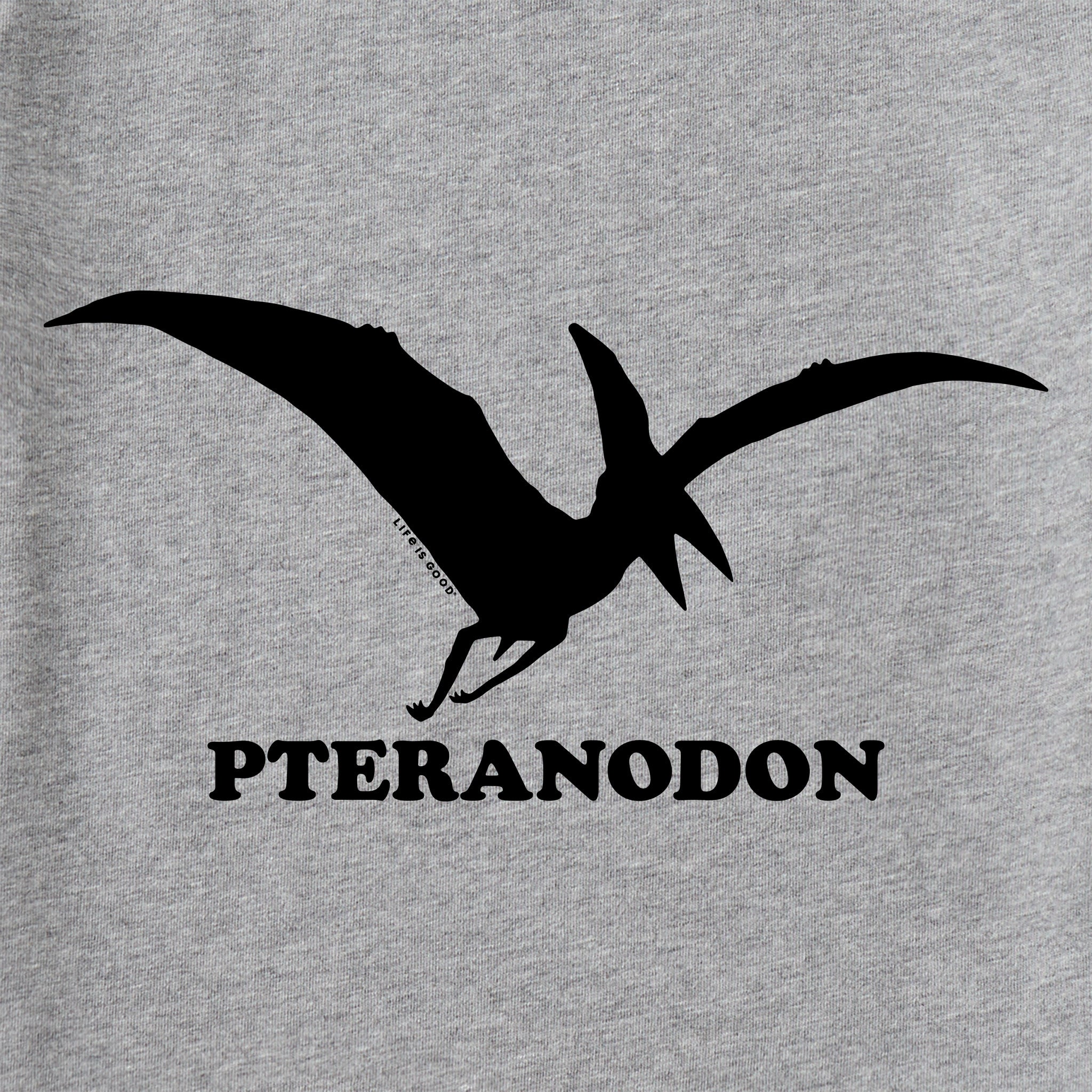 Kids Pteranodon Short Sleeve Crusher Tee