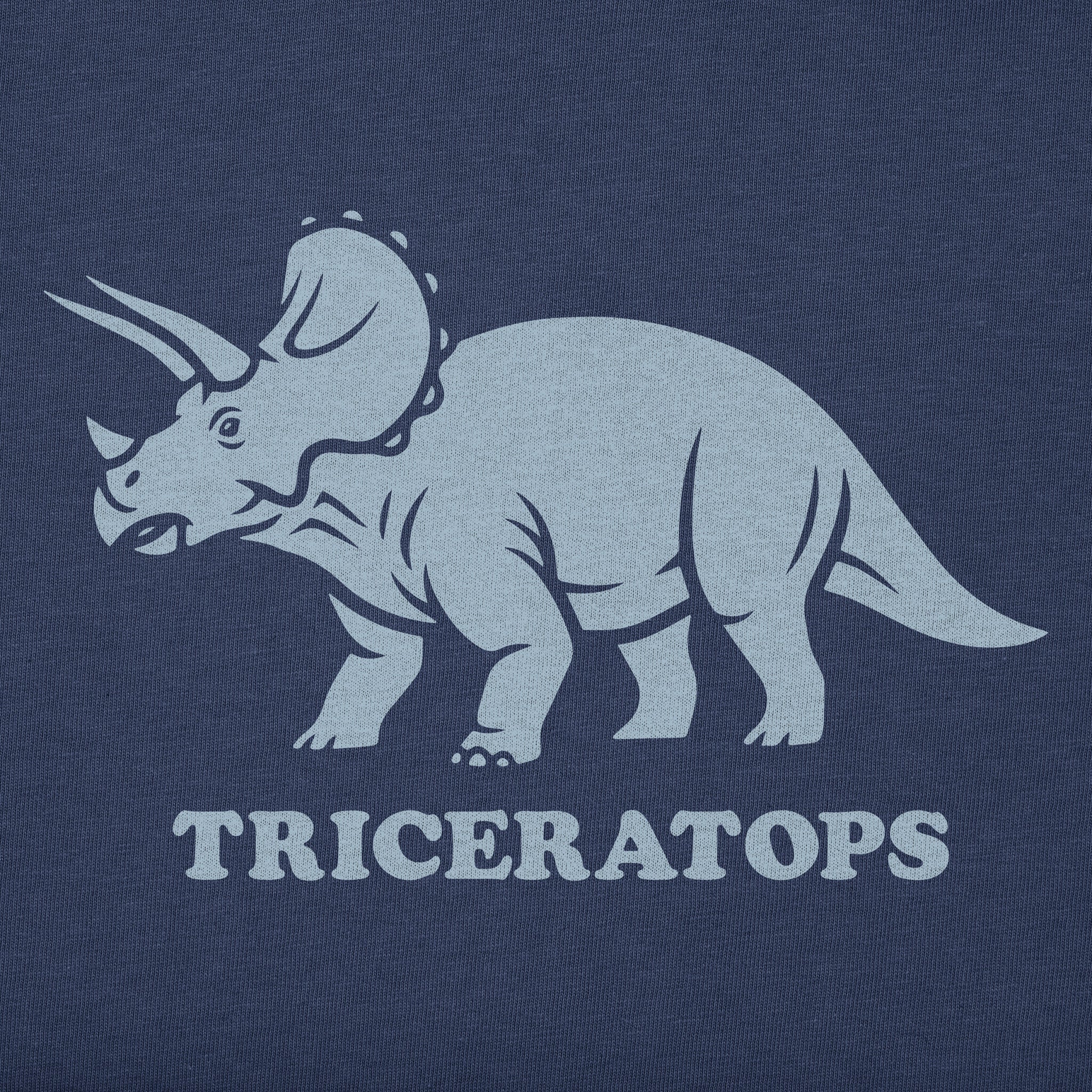 Kids A triceratops Short Sleeve Crusher Tee