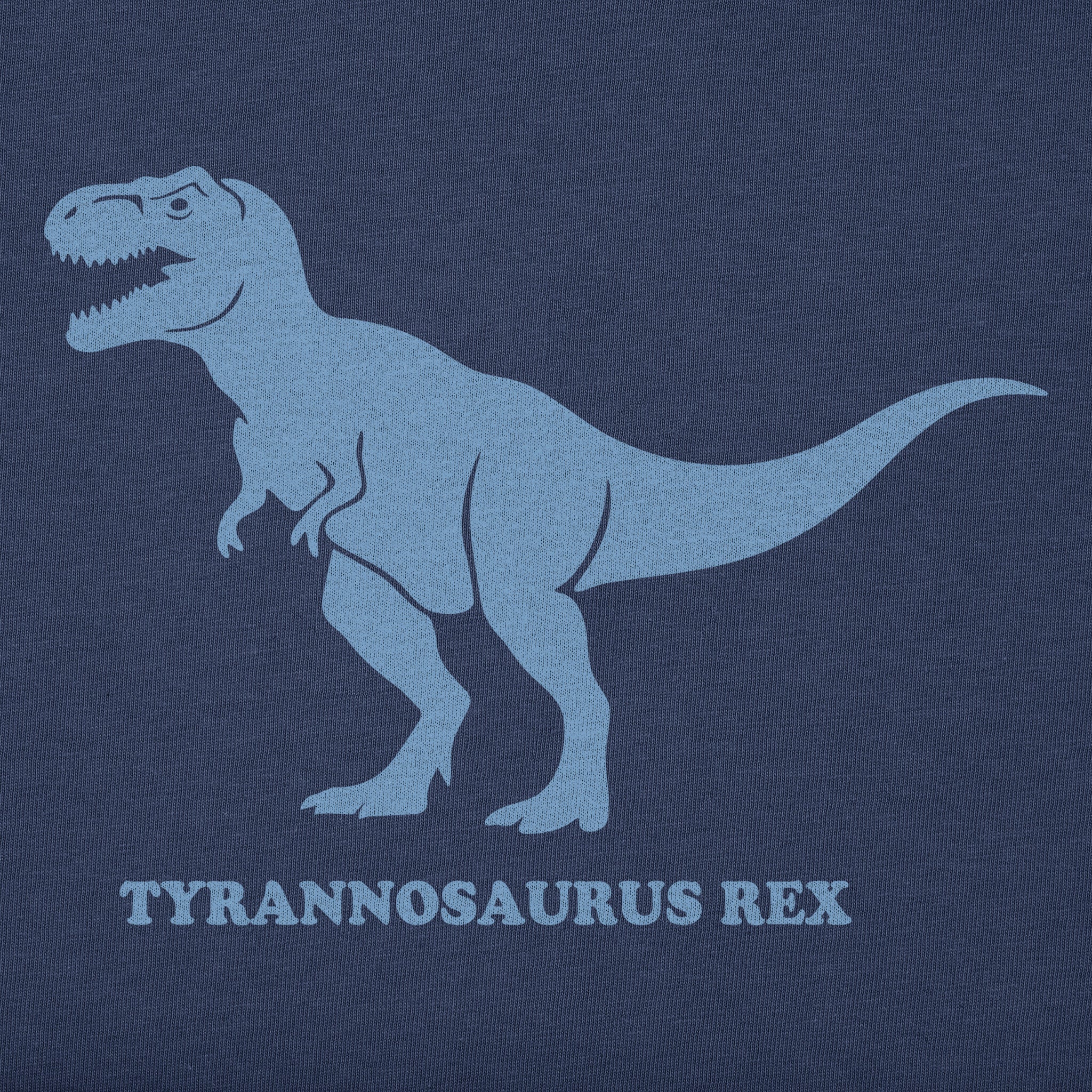 Toddler A Tyrannosaurus Short Sleeve Crusher Tee