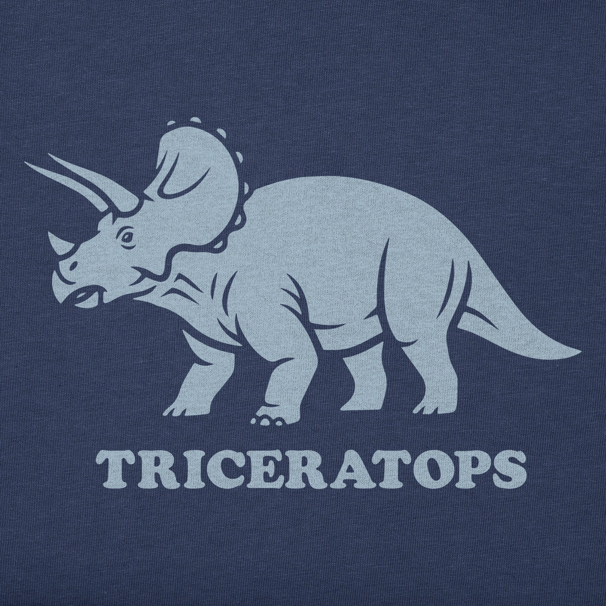 Toddler A triceratops Short Sleeve Crusher Tee