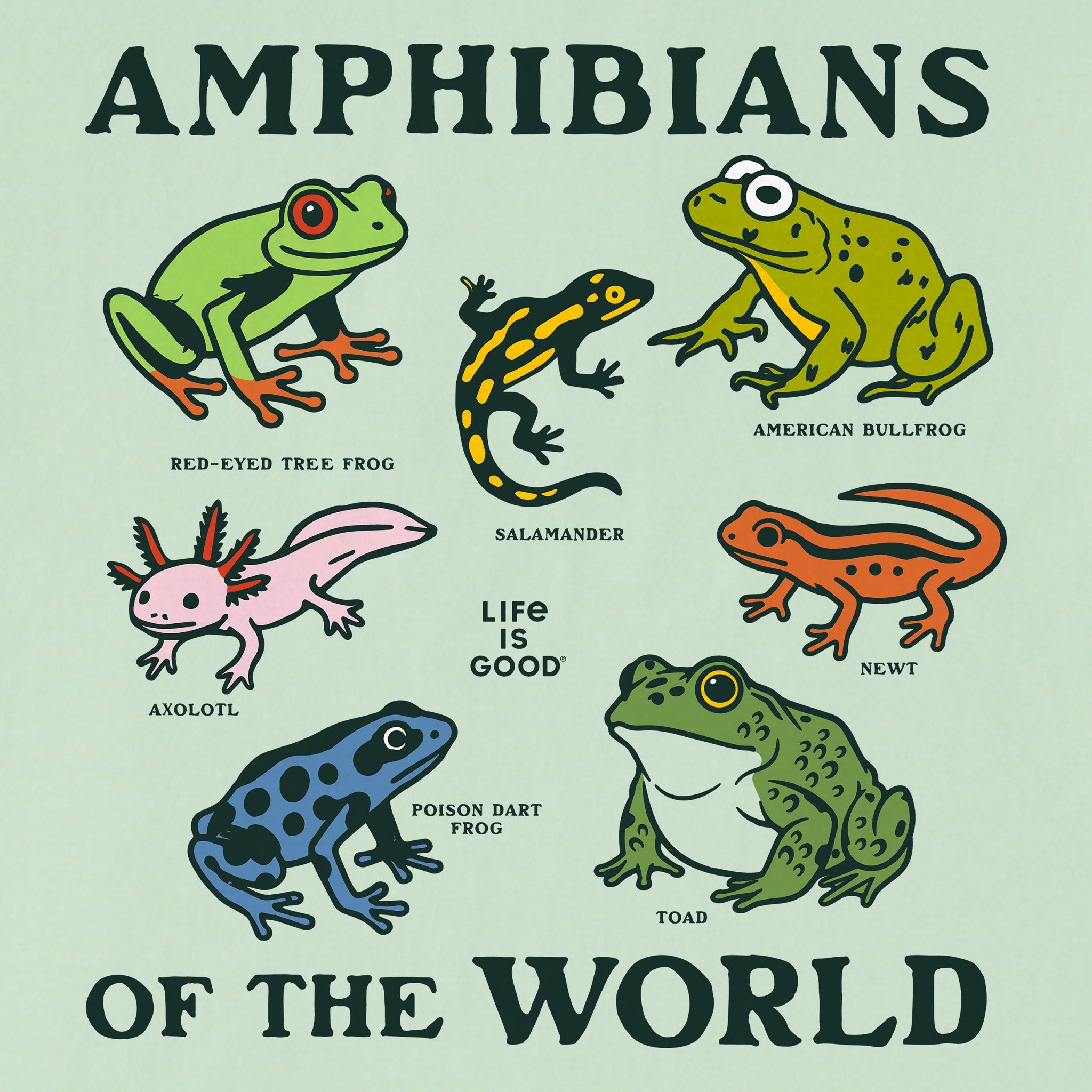 Women's Amphibians of the World Short Sleeve Crusher Boxy Tee