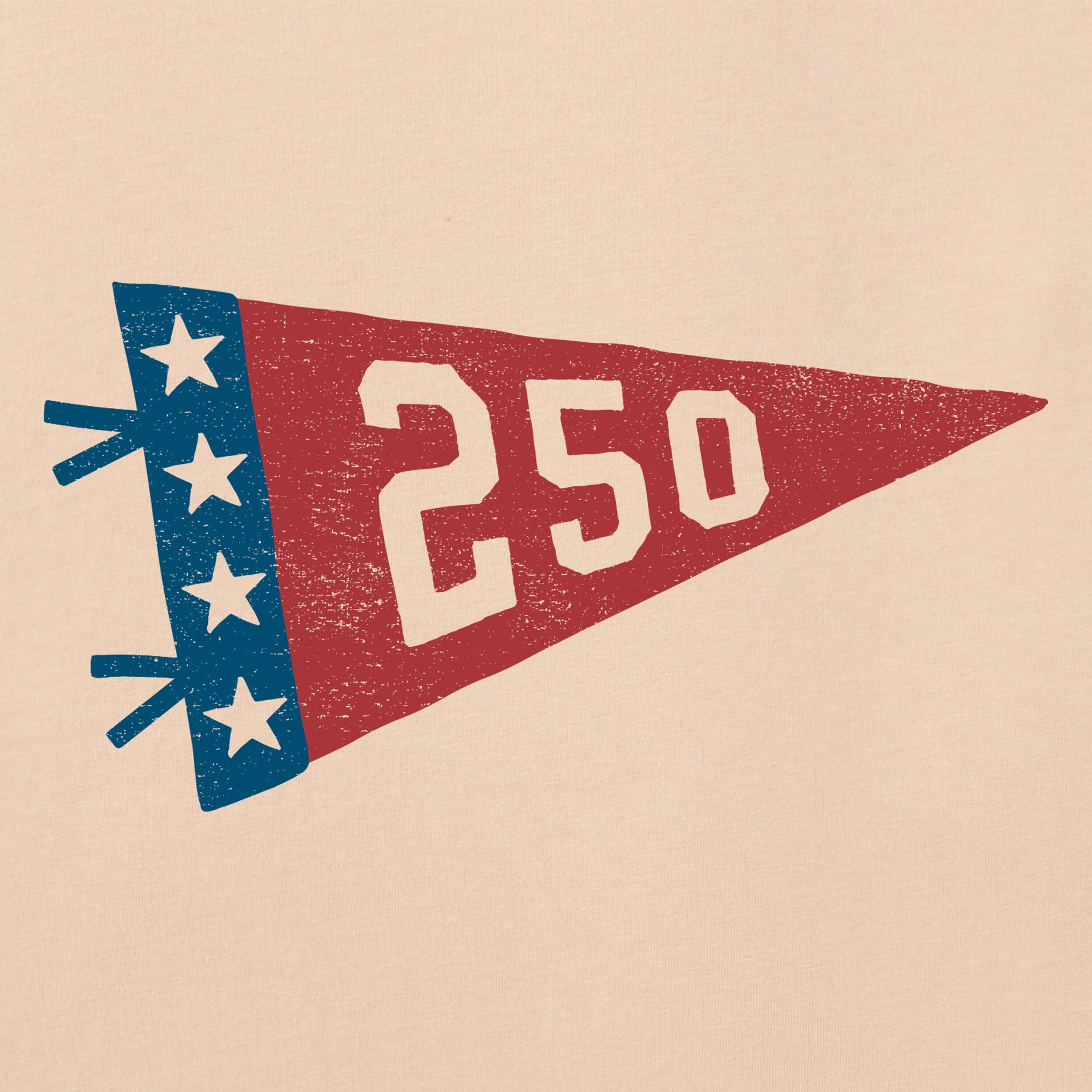 Women's 250 Pennant Short Sleeve Crusher Boxy Tee