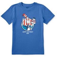 Kids Cat in the Hat USA Cake Short Sleeve Crusher Tee