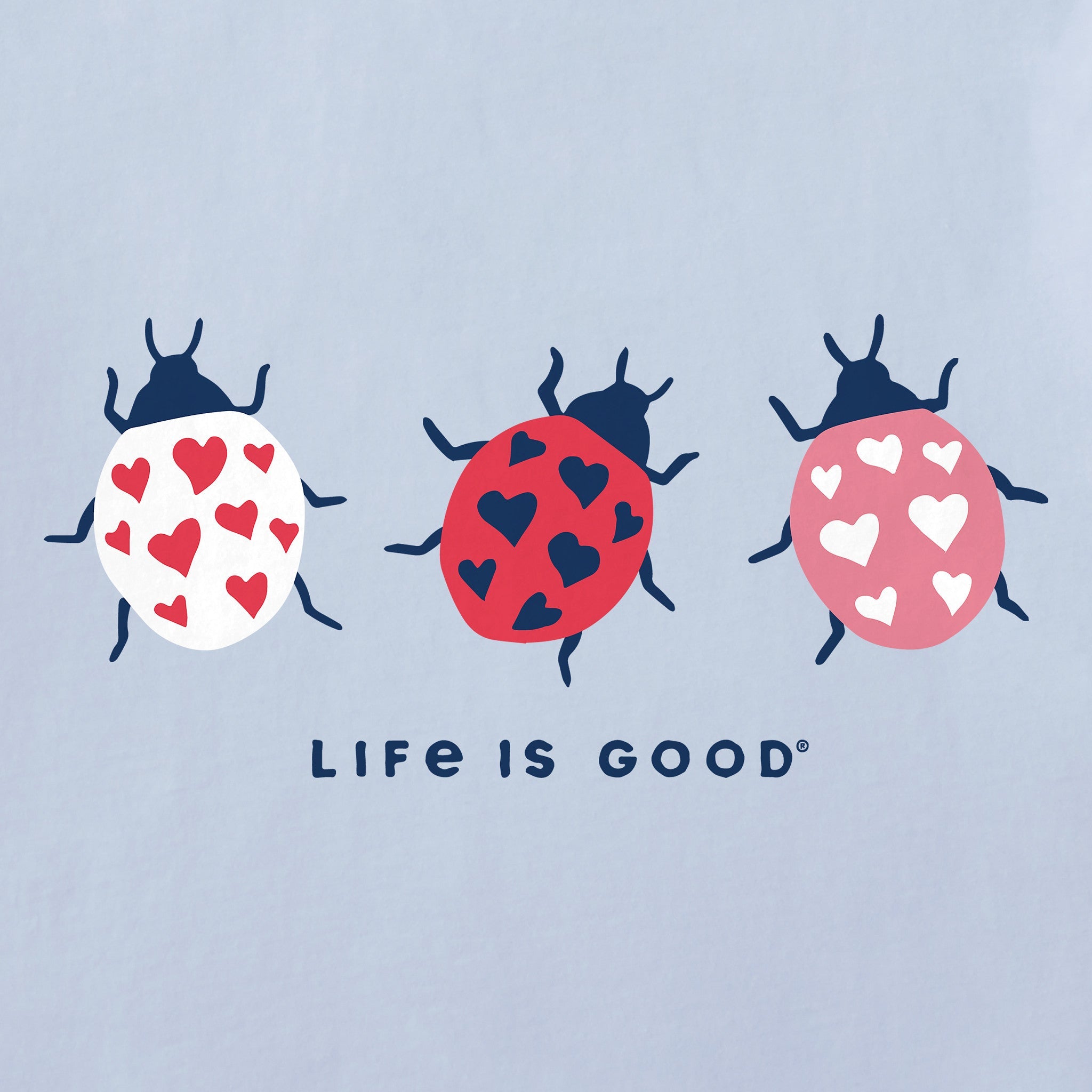 Kids Lovely Ladybug Trio Short Sleeve Crusher Tee