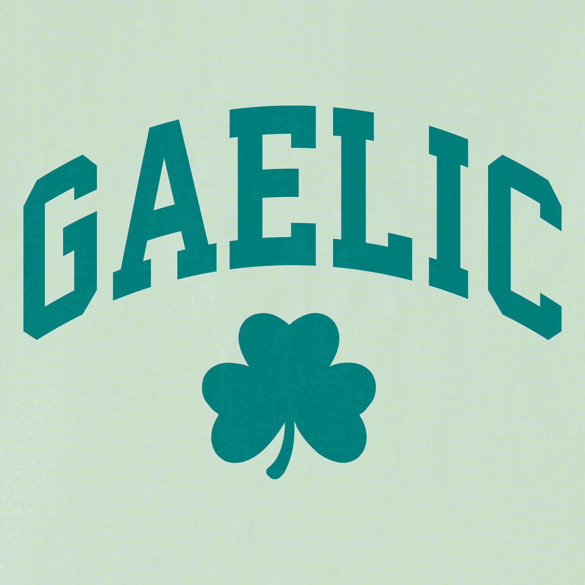 Women's Gaelic Arch Short Sleeve Crusher Boxy Tee