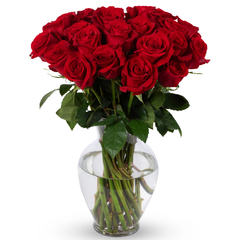 Life is Good Red Roses with Vase