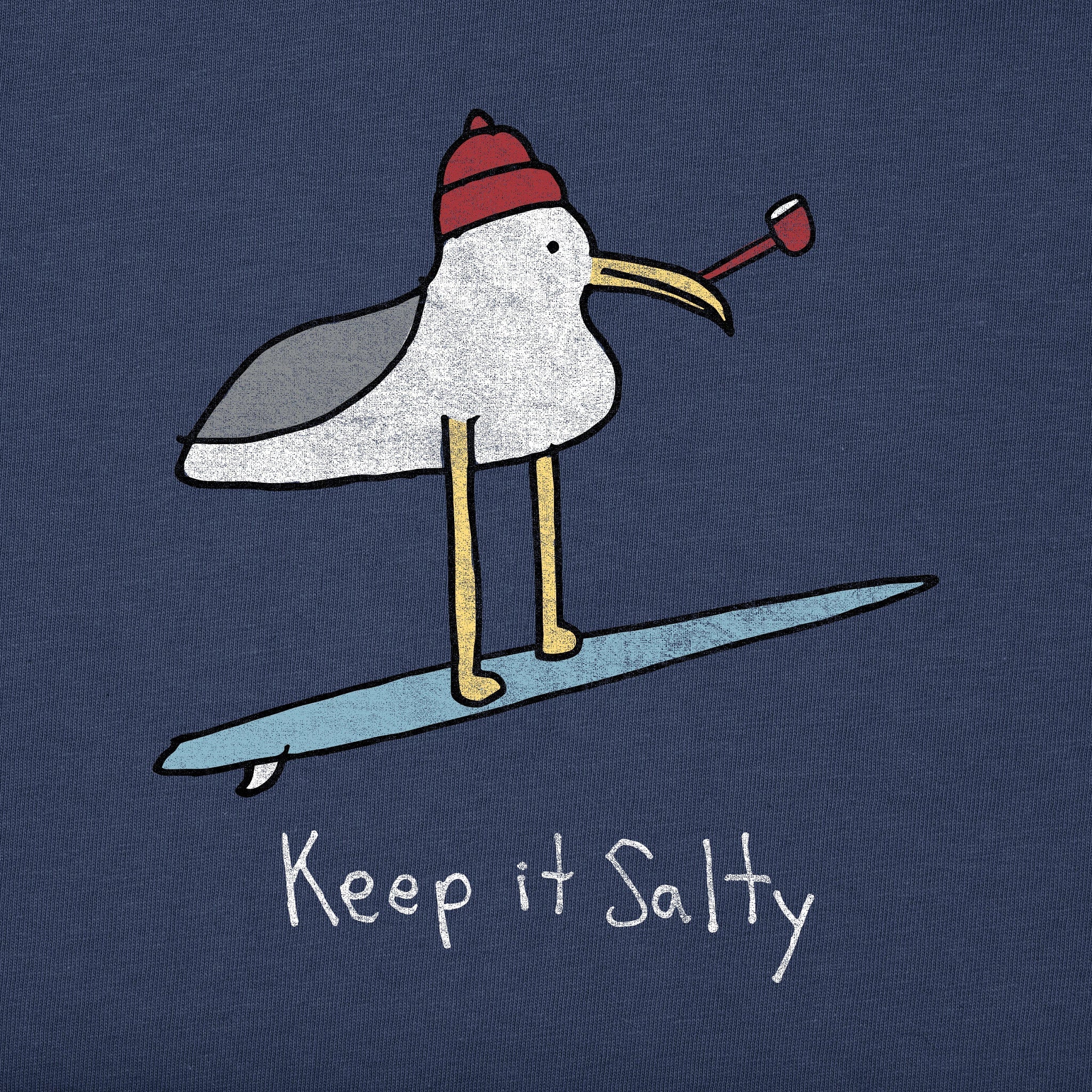 Men's Keep it Salty Seagull Short Sleeve Crusher Tee