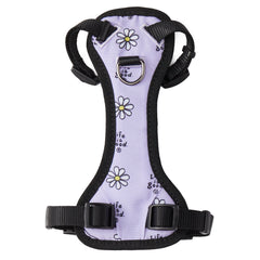 Vintage Daisy Canvas Overlay Dog Harness