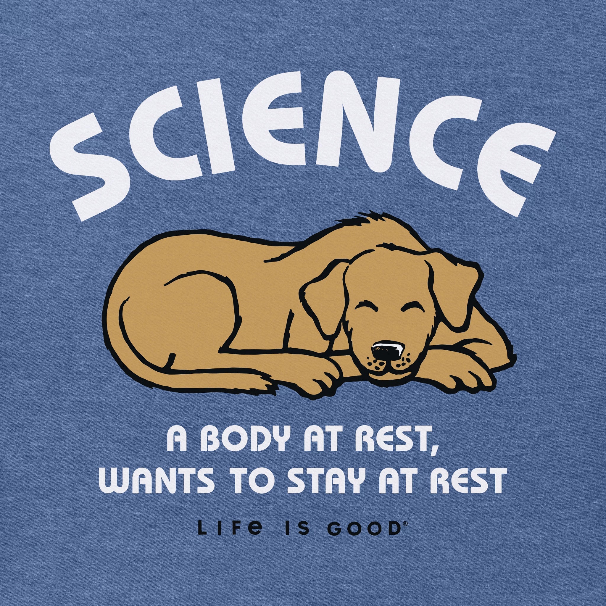 Men's Science A Body At Rest Short Sleeve Crusher Tee