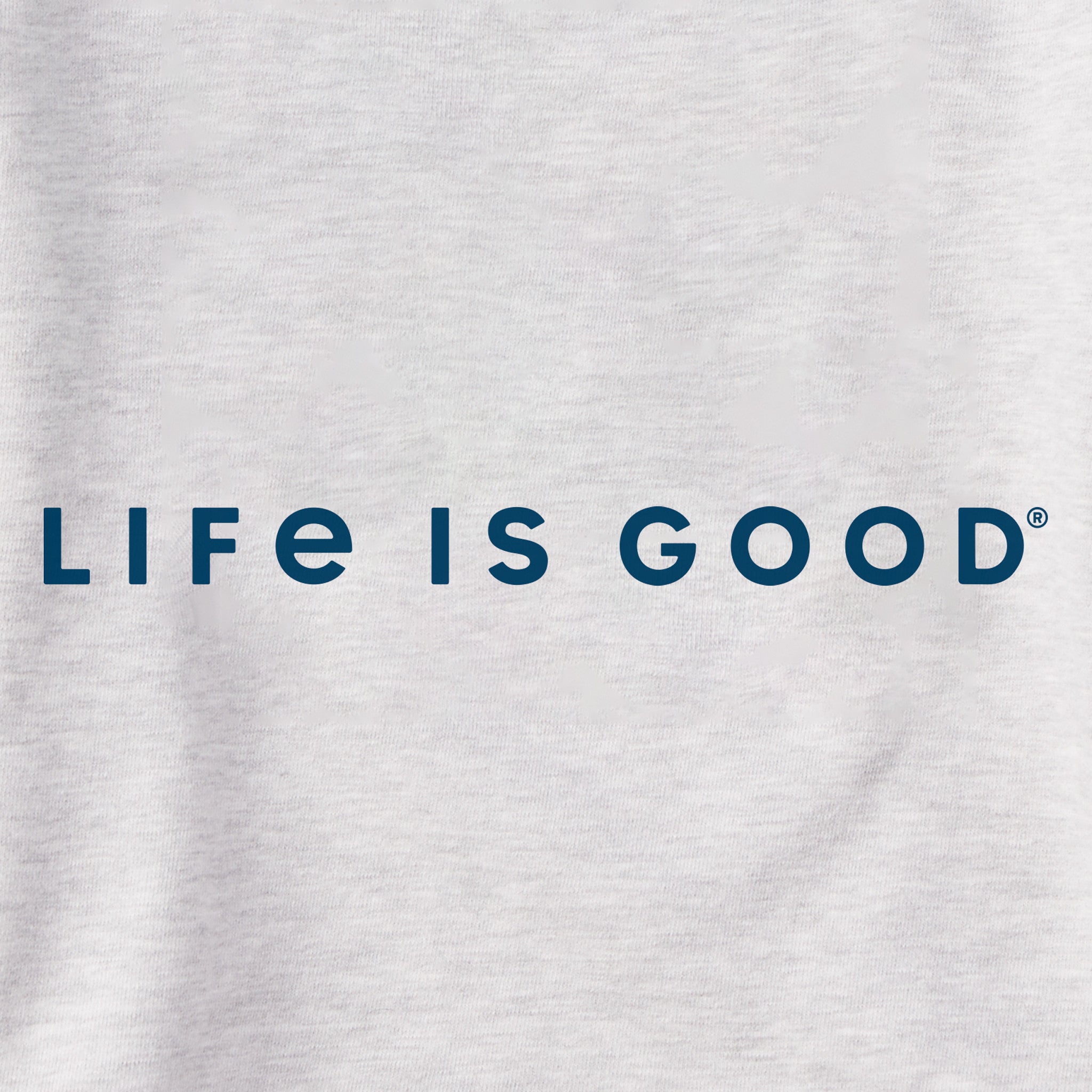 Men's LIG Tonal Horizontal Simply True Fleece Hoodie