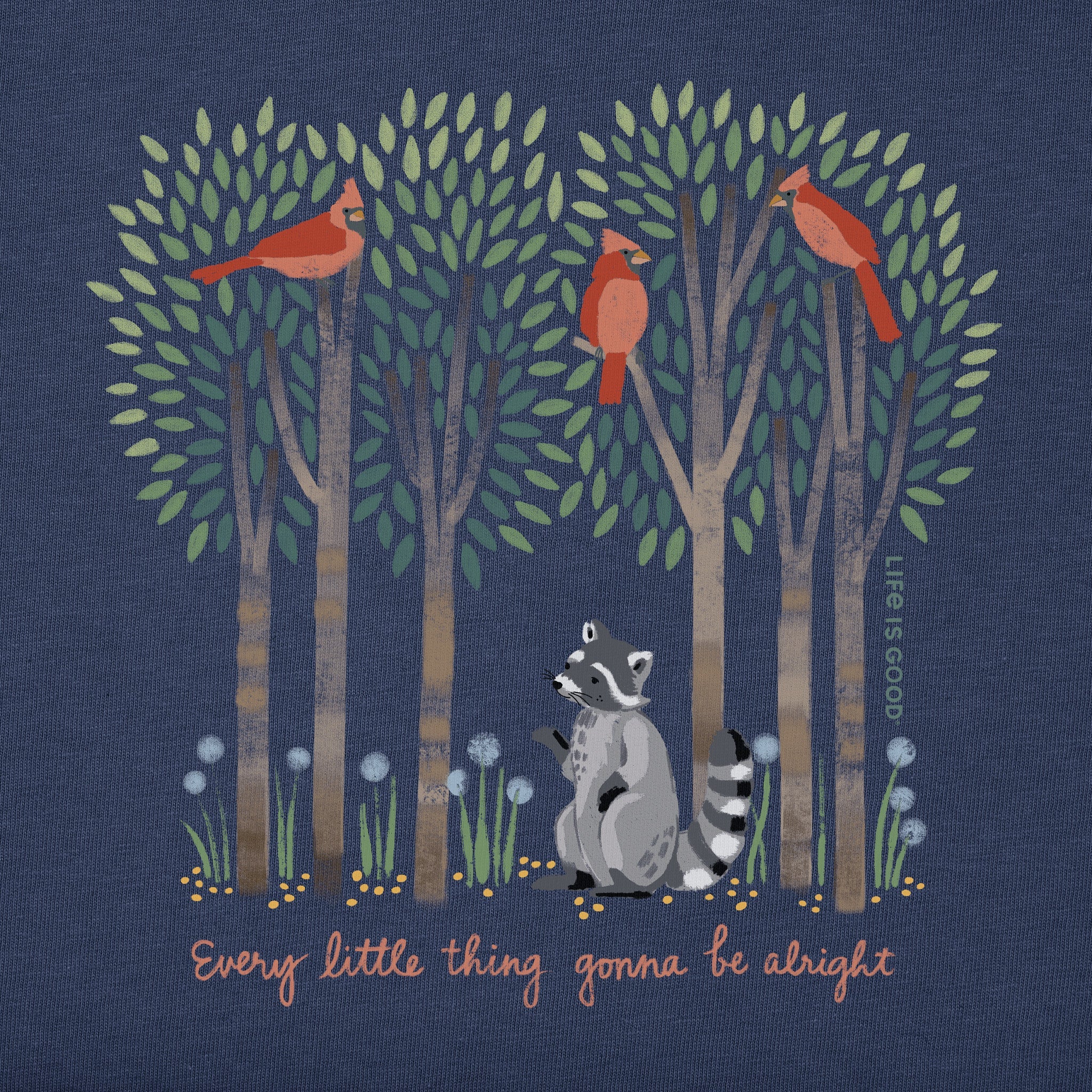 Women's Every Little Thing Racoon Short Sleeve Crusher Tee