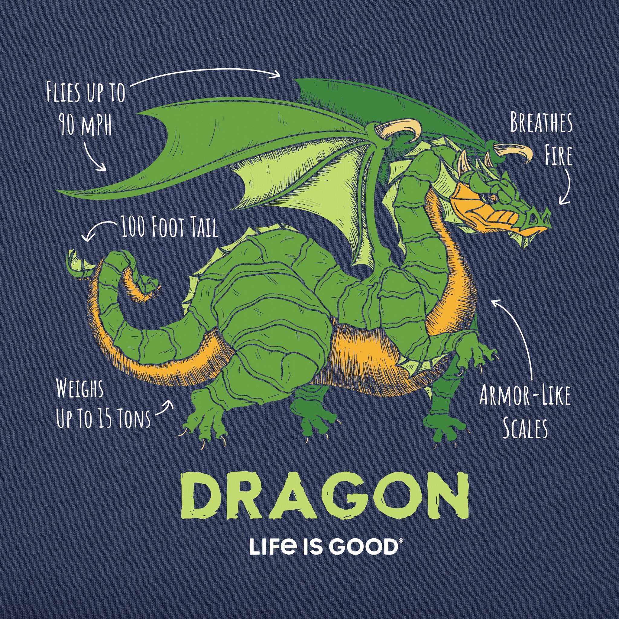 Kids Dragon Facts Short Sleeve Crusher Tee