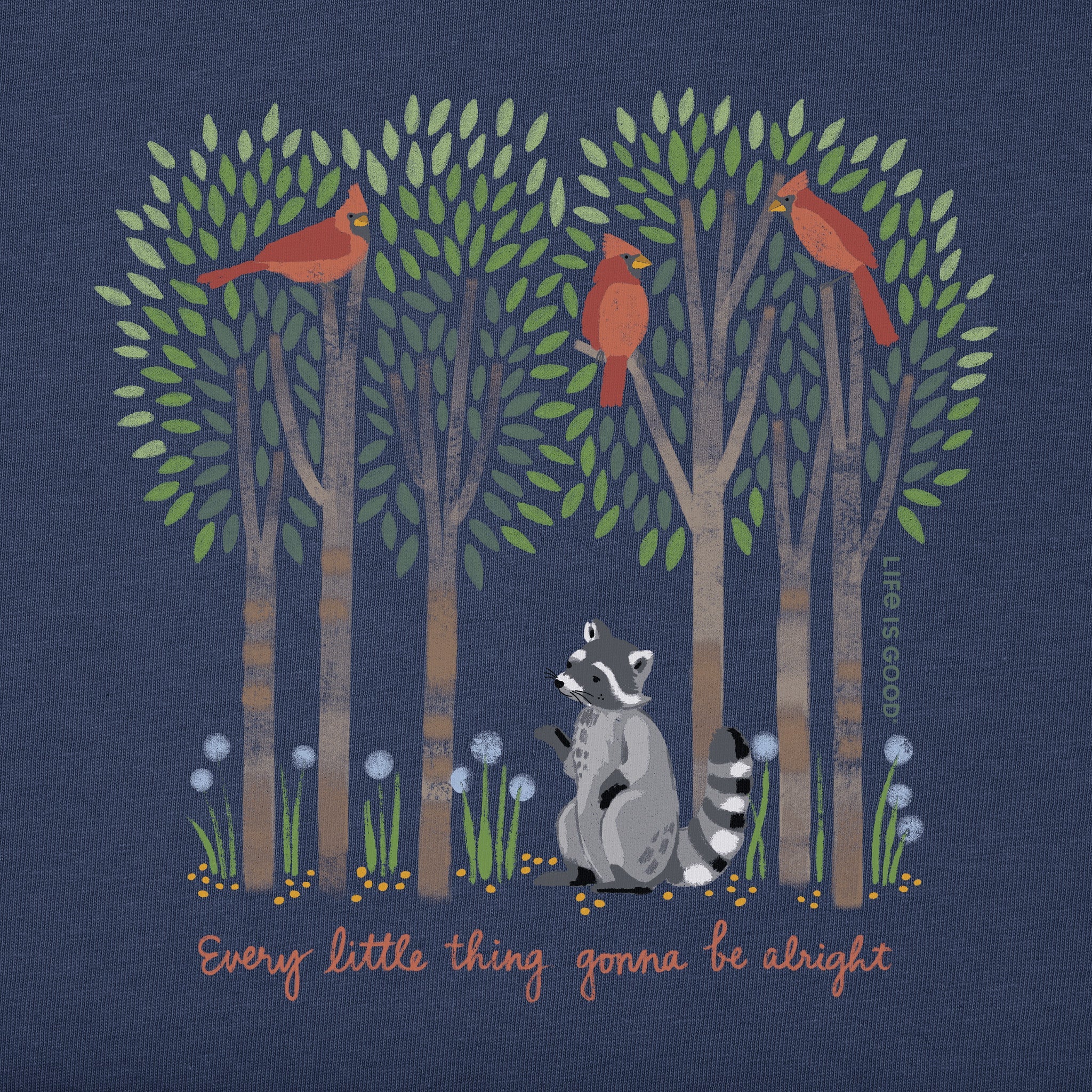 Women's Every Little Thing Racoon Short Sleeve Vee