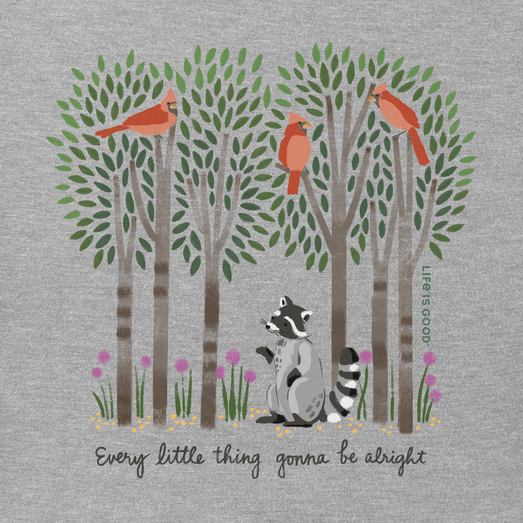 Women's Every Little Thing Racoon Short Sleeve Vee