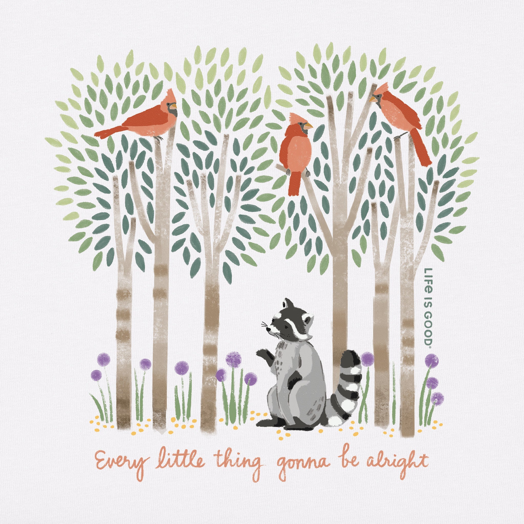 Women's Every Little Thing Racoon Short Sleeve Vee