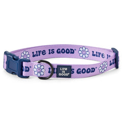 Groovy Daisy Dog Collar