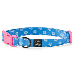 All Over Daisy Dog Collar