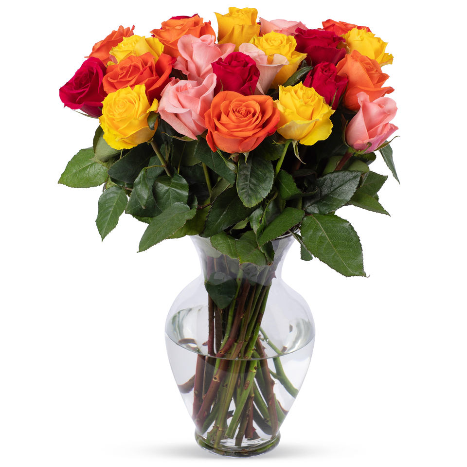 Life is Good Multi Roses with Vase